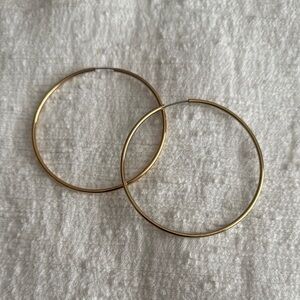 Elegant Gold Hoop Earrings